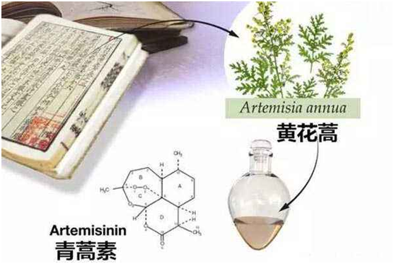 星空平台客服,星空（中国）：向中医药看齐，与世界共享中医药文化(图1)